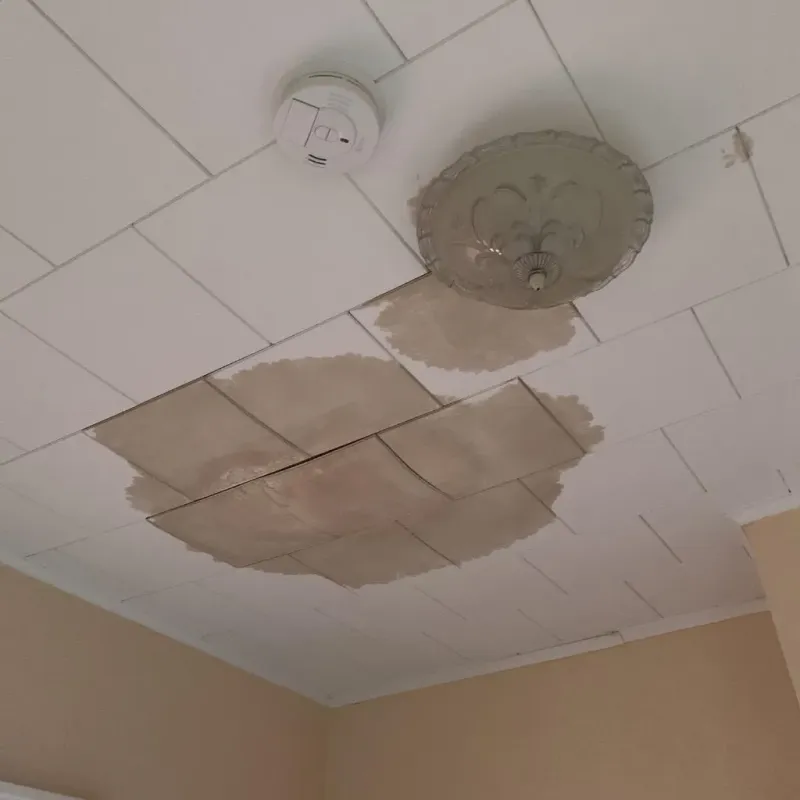 Ceiling Water Damage Repair in Rankin County, MS