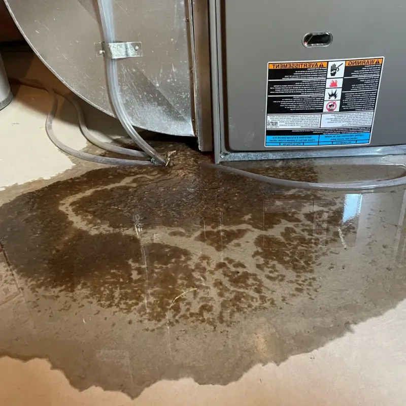 Pipe Burst and Leak Restoration in Rankin County, MS